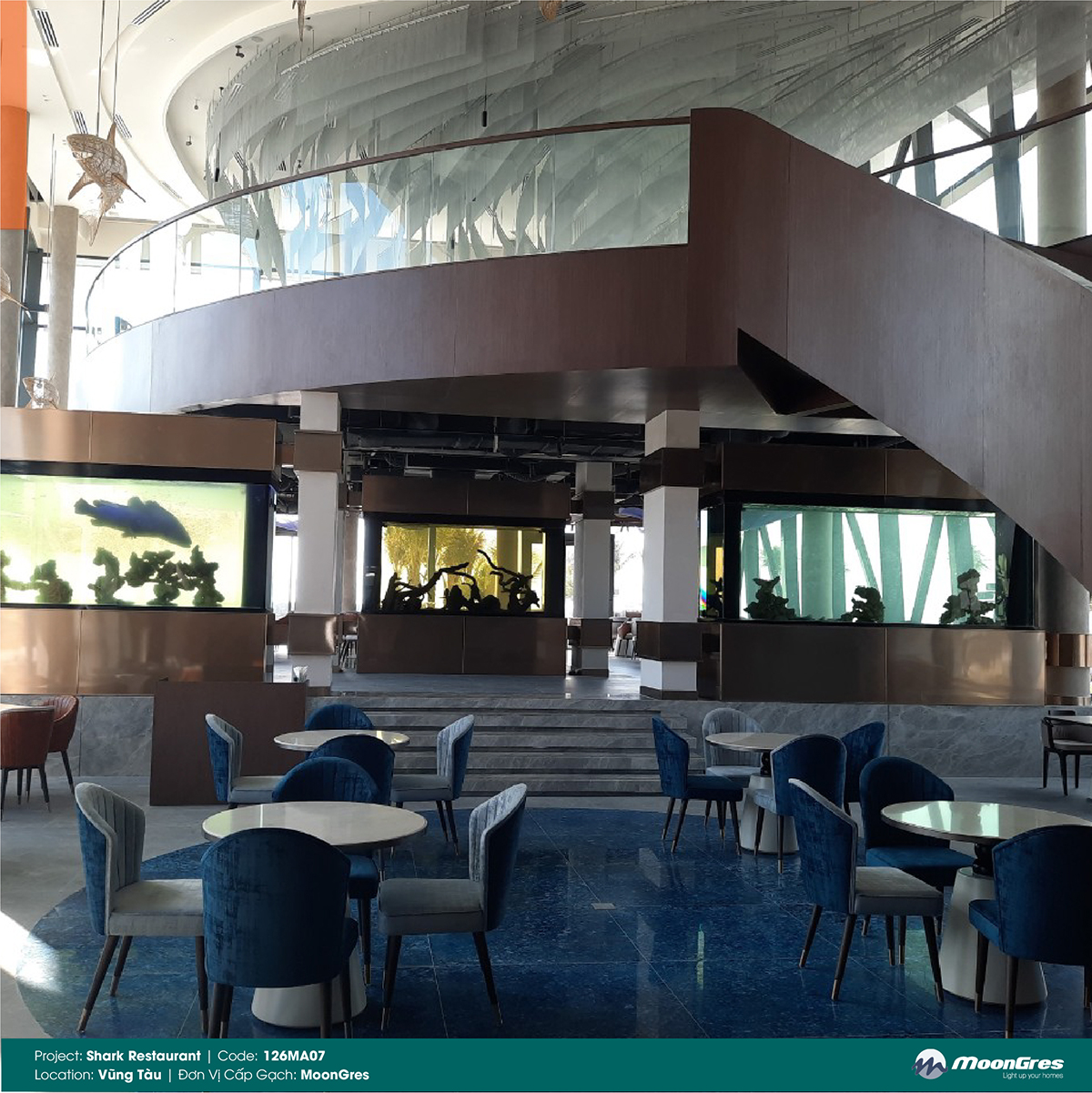 SHARK RESTAURANT-06.jpg